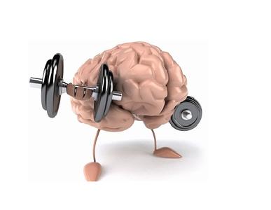 超级记忆力培训班:增强记忆力的十大法则_智慧